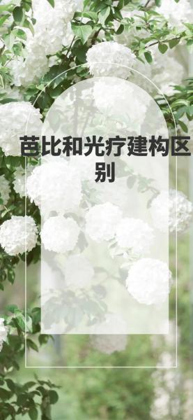 芭比和光疗美甲有什么不同