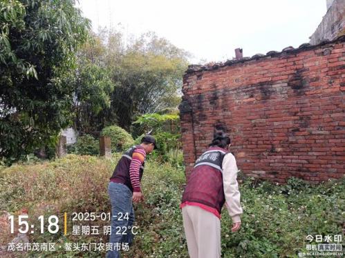潮安县,登塘镇,枋树员村,大径山非法开采国家严禁以久的(稀土)毒害村民...