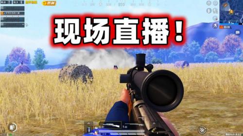 世界上有名的狙击枪有哪些?