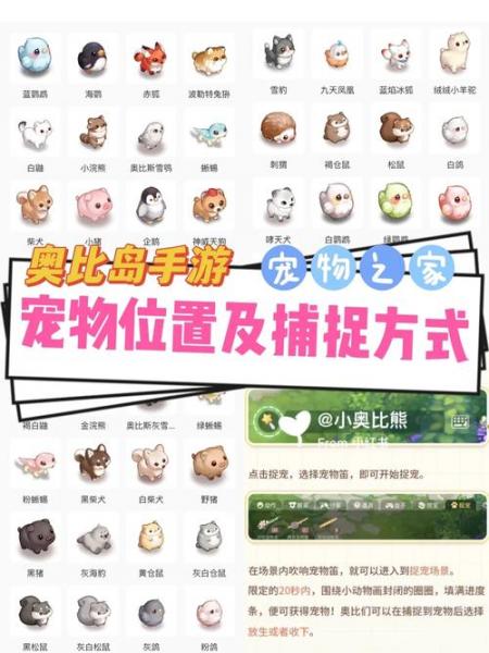 奥比岛手游玫瑰花怎么得