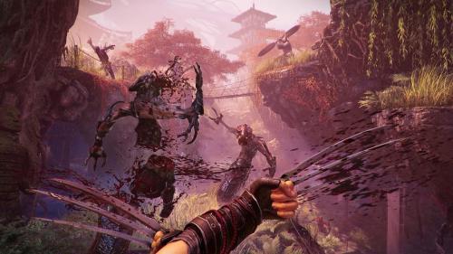 影子武士2捆绑包要不要买