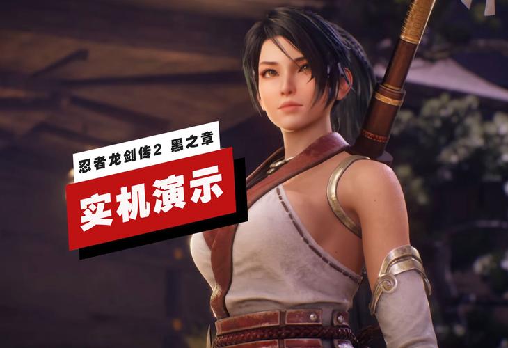 忍龙2有PC版吗