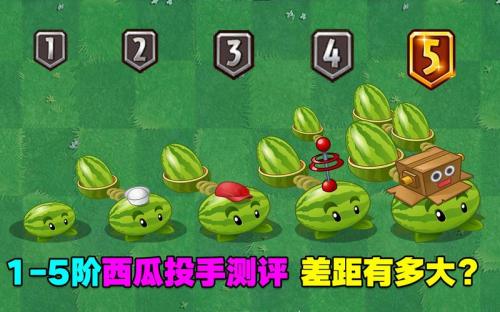 植物大战僵尸香蒲和西瓜哪个厉害