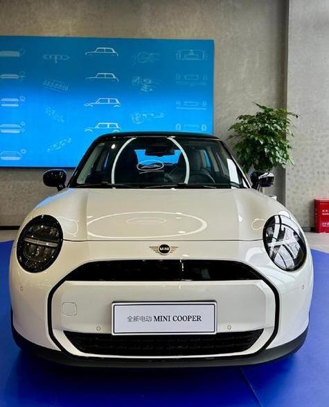 MINI表示什么