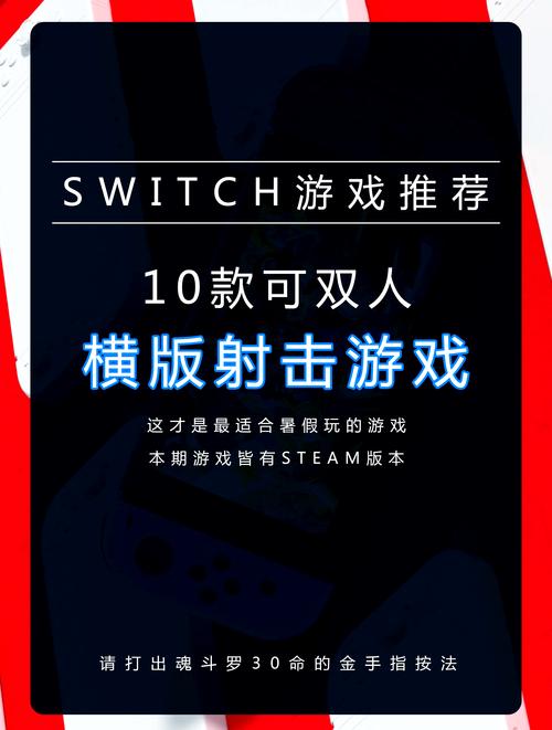 求一款射击小游戏的名字,双人的平面射击,游戏已开始是两人坐降落伞下来...