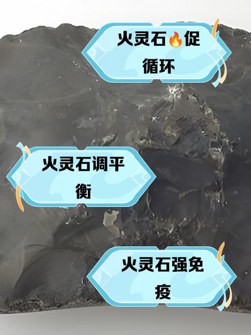 洛克王国怎样弄经验