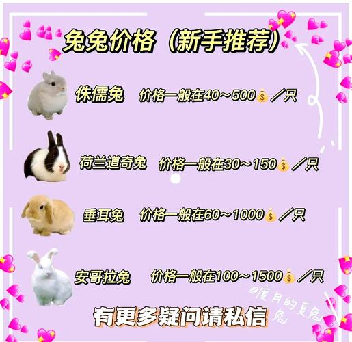 淘宝那一家卖的宠物兔比较好,什么品种的兔子比较好,如何辨别是否纯种的...